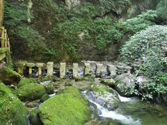 -牛背梁国家森林公园