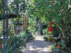 -谷咖啡·鲜花绿植花园餐厅