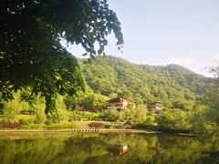 -桃花岭景区