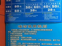 -大凤凰乒乓球馆