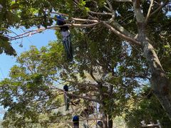 -泉州海丝野生动物世界