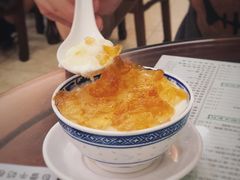 桃胶双皮奶-仁信老铺(华盖路店)