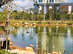 -云南艺术学院(呈贡校区)