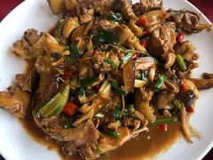 现杀果园鸡—黄焖鸡-生态苑农庄(十里画廊遇龙河店)