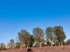 -汉长安城未央宫国家考古遗址公园