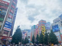 -秋叶原电器街