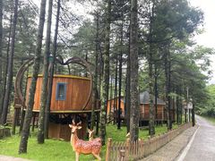 -洛阳白云山景区