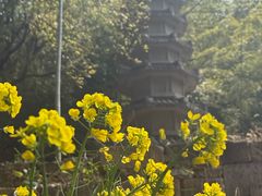 -南北湖风景区