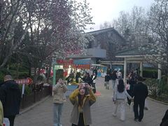 -洪家楼教堂