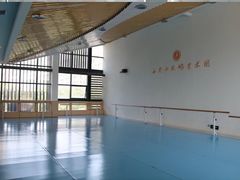 -西安小天鹅艺术团(曲江Alice店)