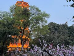 -房湖公园