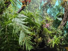 -太平洋海底世界