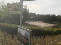 -潇河湿地公园
