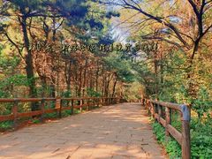 -棋盘山风景区
