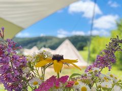 -武陵山森林公园