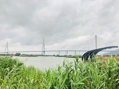 -芒洲湿地公园