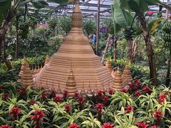 -南宫五洲植物乐园