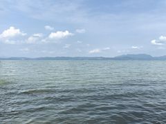 -捞渔河湿地公园