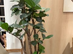 -鹿港小镇(黄金店)