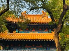 -北京国子监胡同