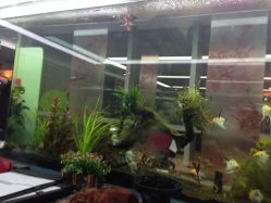 iphone_upload_pic-小左美发