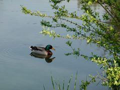 -玄武湖景区-情侣园游乐场