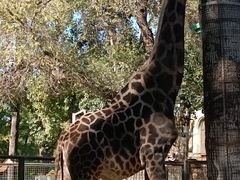 -北京动物园-畅观楼