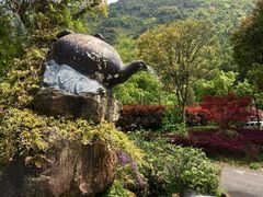 -东海大峡谷