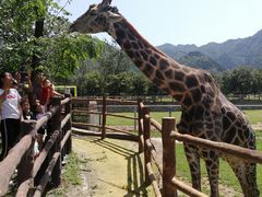 -西安秦岭野生动物园