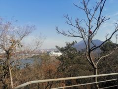 -九华山公园