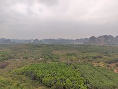 -南宁花花大世界景区