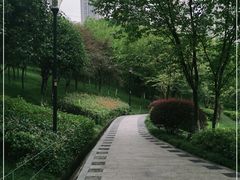 -龙头寺公园