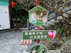 -黄山翡翠谷景区