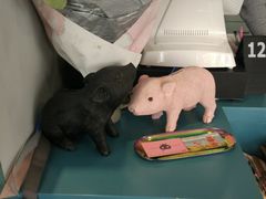 -WHEN PIGS FLY当猪飞