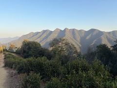 -午潮山国家森林公园