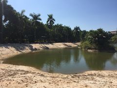 -佛山祈福仙湖酒店