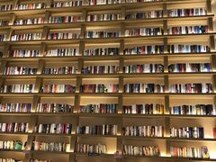 -深影国际影城(学院南路店CGS中国巨幕店)
