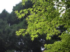 -陕西师范大学(雁塔校区)