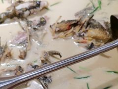 -耕渔小院·湖南鱼鲜(望城店)