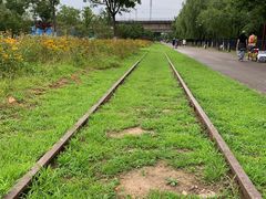 -永定河休闲森林公园