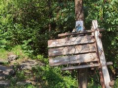 -阳台山自然风景区