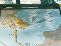 -春花秋色城市公园