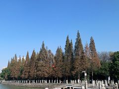 -燕鸣岛