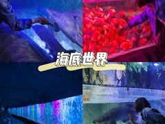 -左海海底世界