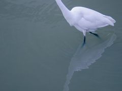 -深圳湾公园(南山区)