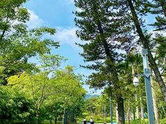 -四海公园(南山区)