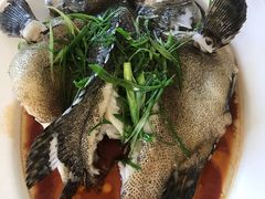 -杨梅坑渔村海鲜餐厅