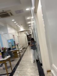 -YESIDO椰岛造型