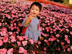 -松山湖梦幻百花洲