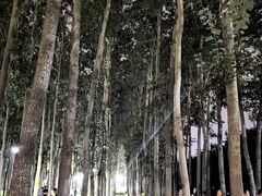 -仁和公园(顺义区)
